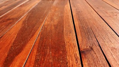 Freshly Stained Deck